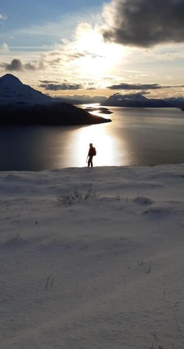 Apartment Appartamento Tromsø